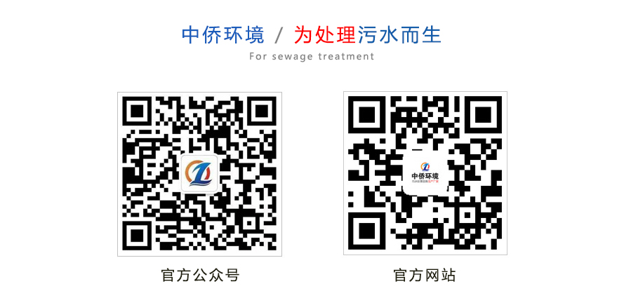 中僑環境
